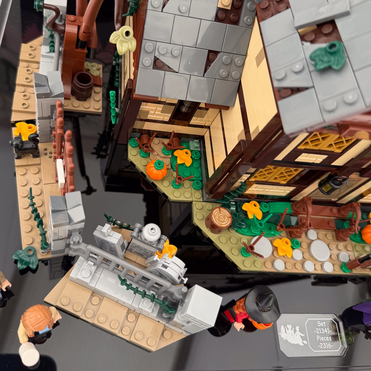 Display Case for LEGO Ideas Disney Hocus Pocus: Sanderson Sisters' Cottage (21341)