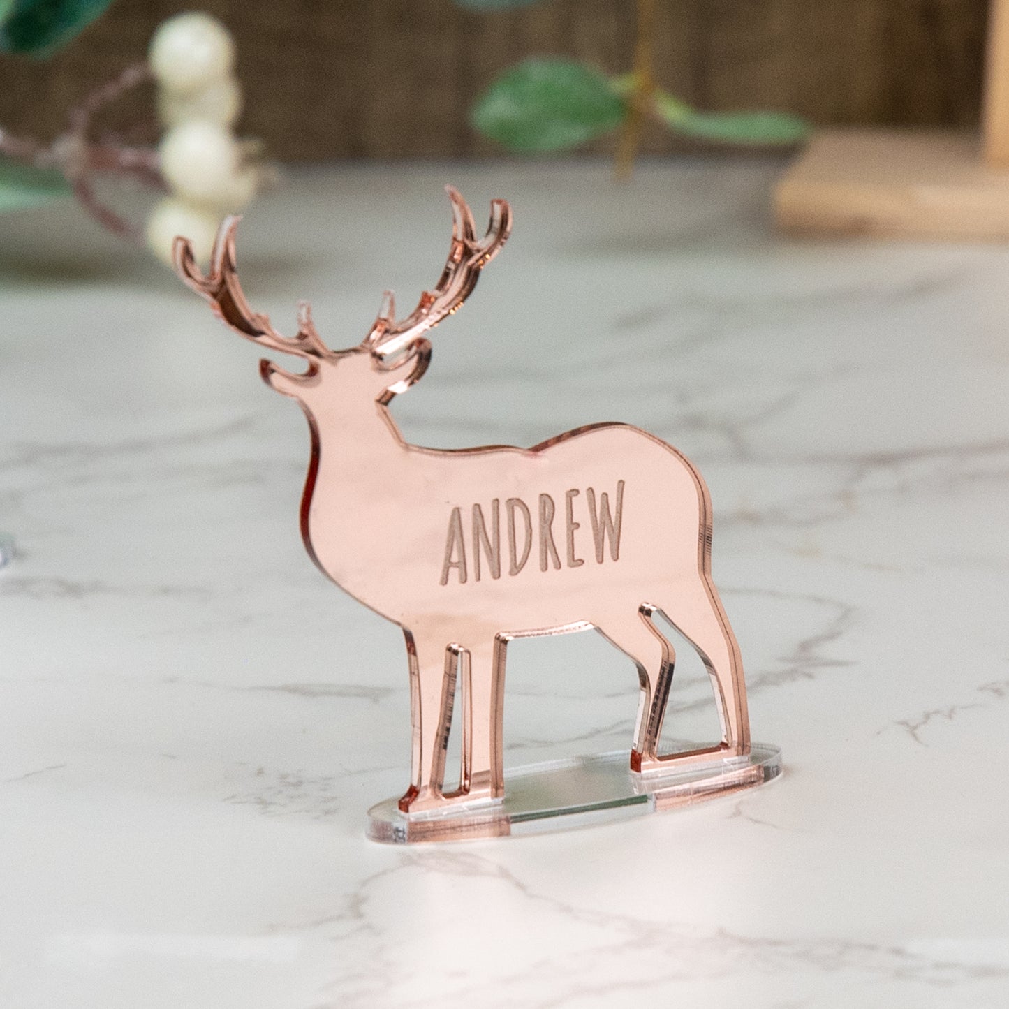 Personalised Mirror Acrylic Stag Deer Place Name
