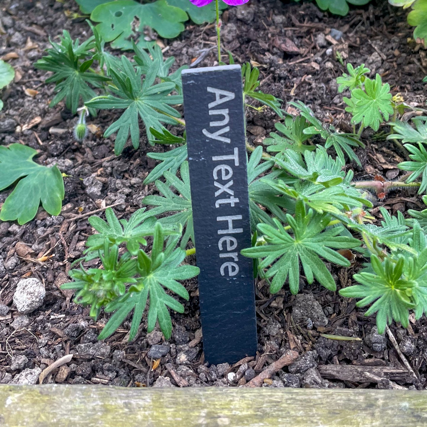 Personalised Slate Plant Label