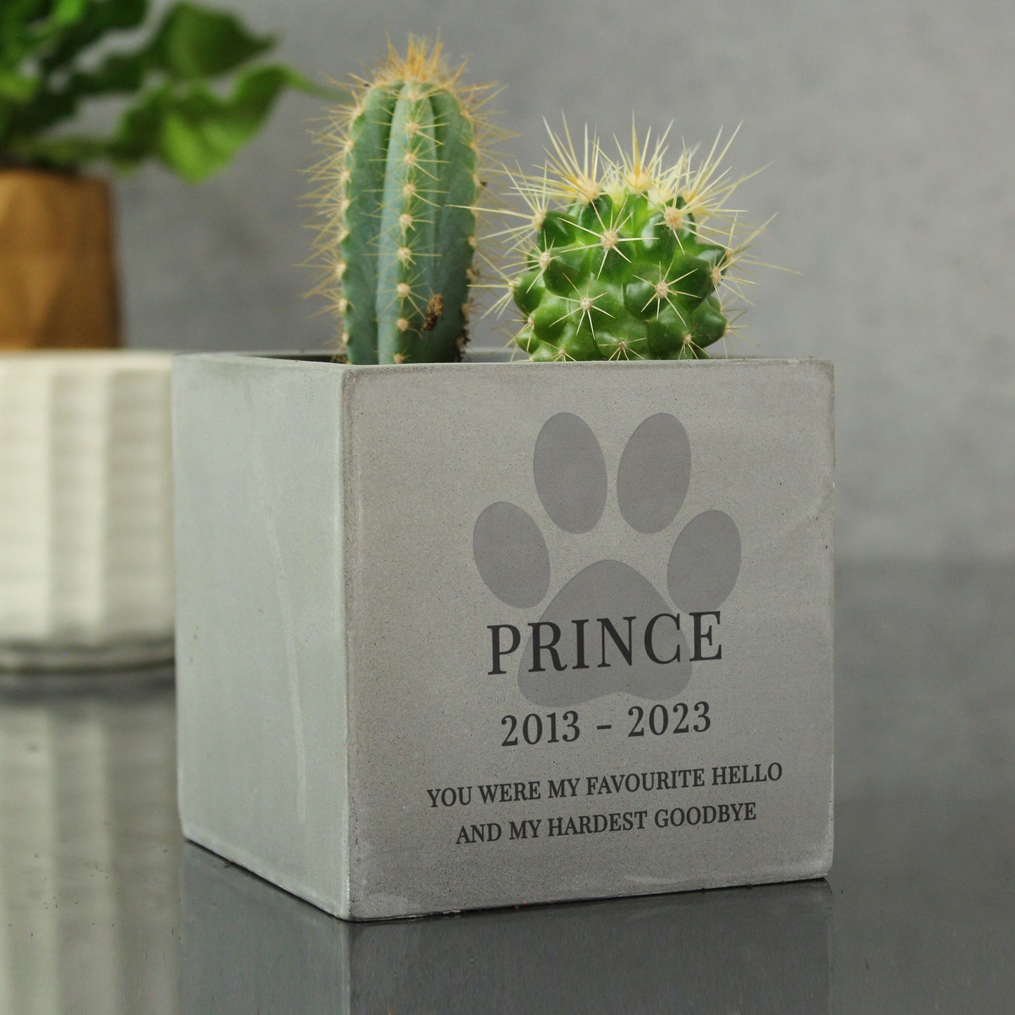 Personalised Pet Paw Print Memorial Concrete Plant Pot