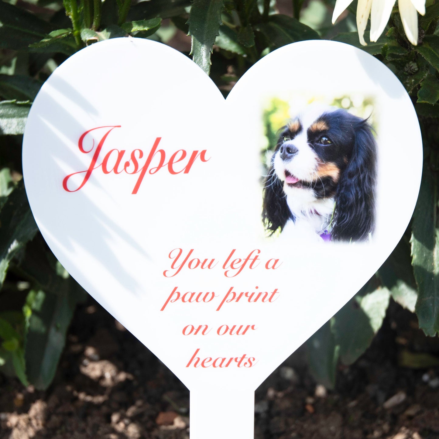 Personalised Pet Photo Heart Memorial Acrylic Grave Marker