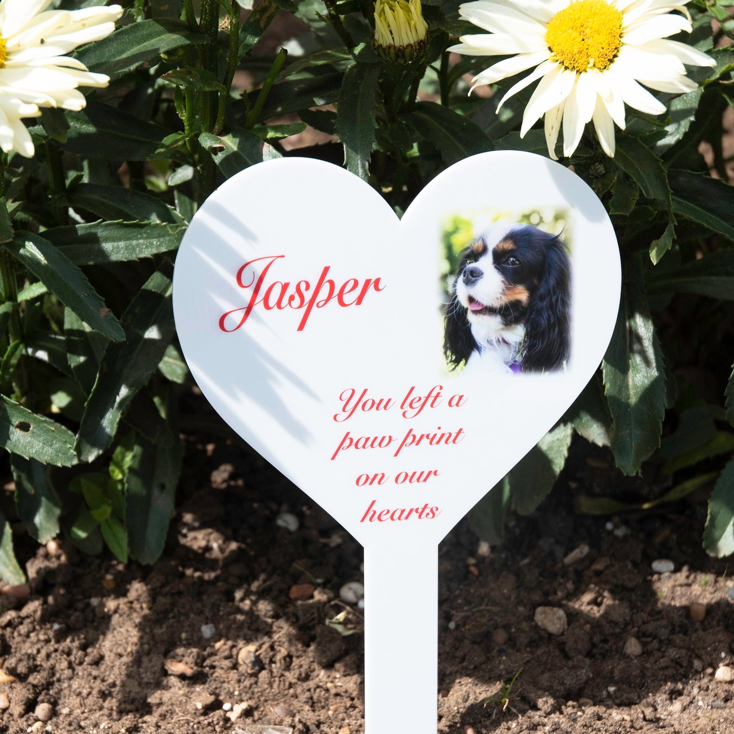 Personalised Pet Photo Heart Memorial Acrylic Grave Marker