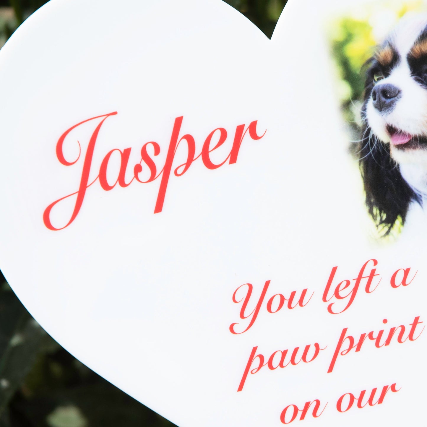 Personalised Pet Photo Heart Memorial Acrylic Grave Marker